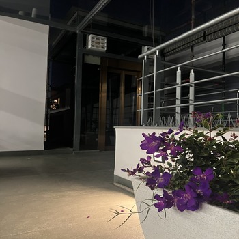 Image 29